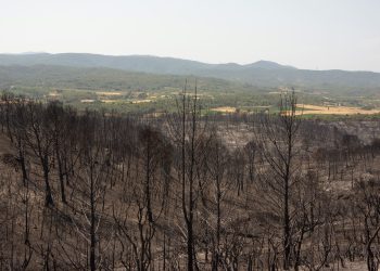 Incendie dans l’Aude : les habitants de la région bouleversés face à l’ampleur de la catastrophe