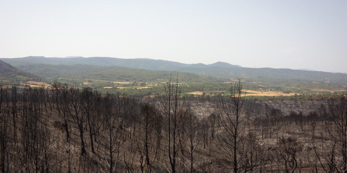 L’incendie dans l’Aude est «maîtrisé», annonce la préfecture