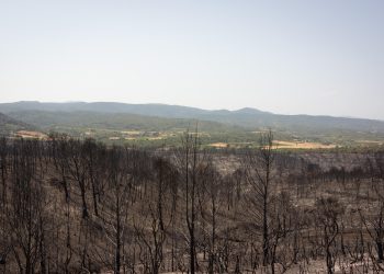 L’incendie dans l’Aude est «maîtrisé», annonce la préfecture