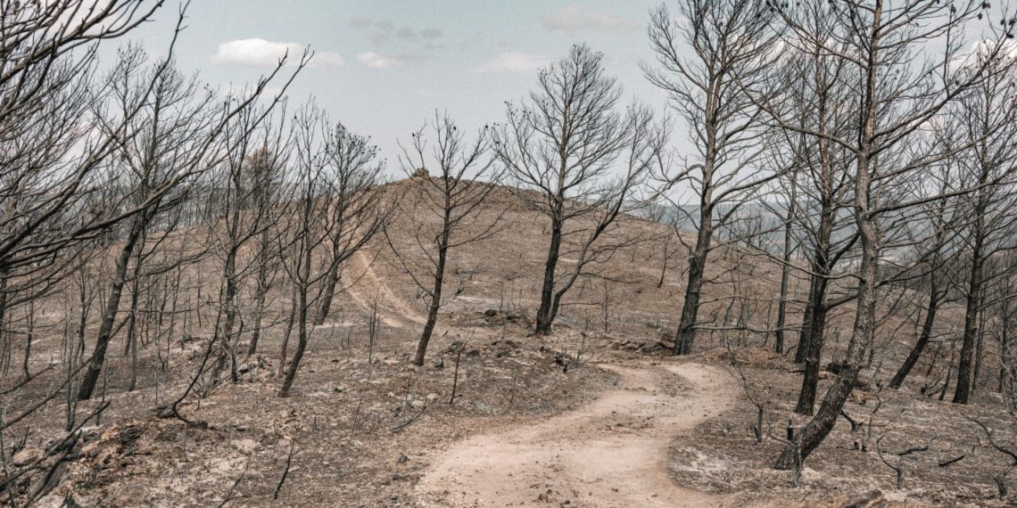 Campings détruits, restaurants à l’arrêt… Après l’incendie dans l’Aude, le tourisme en grande difficulté