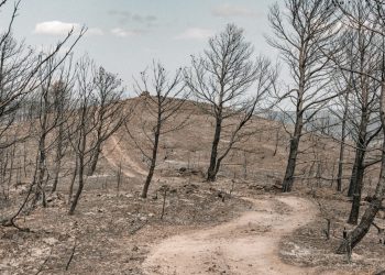 Campings détruits, restaurants à l’arrêt… Après l’incendie dans l’Aude, le tourisme en grande difficulté