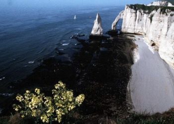 Seine-Maritime : Un pan de falaise s’effondre près d’Etretat
