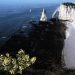 Seine-Maritime : Un pan de falaise s’effondre près d’Etretat