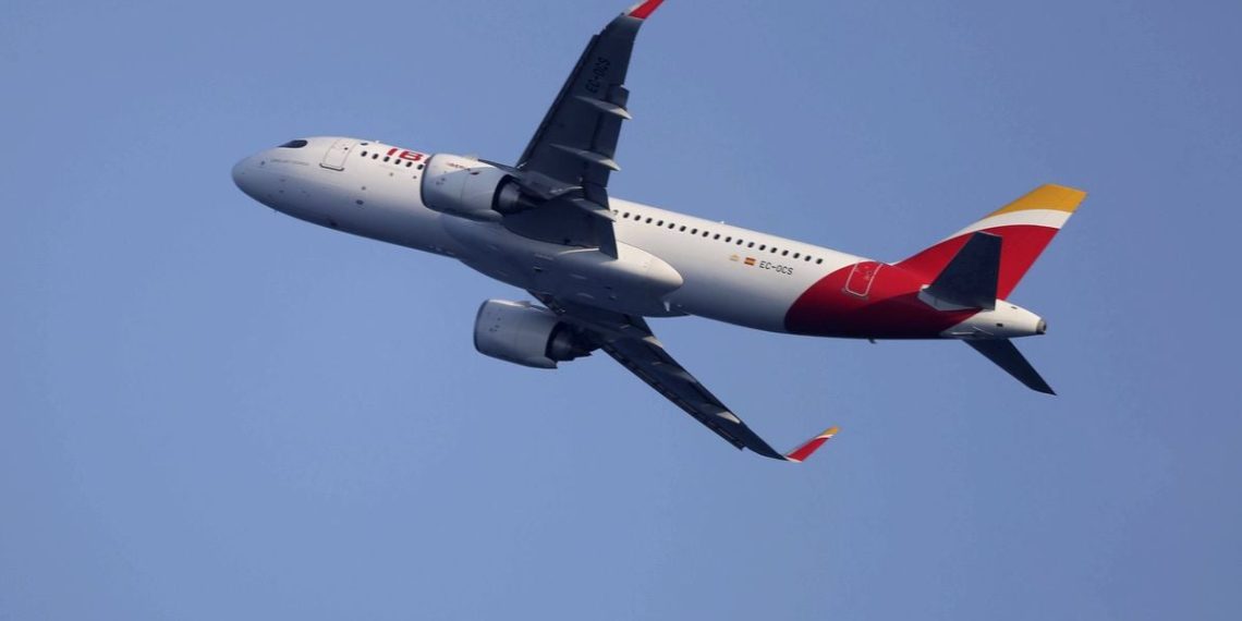 Un avion fait demi-tour en urgence après avoir percuté un « gros oiseau » au décollage