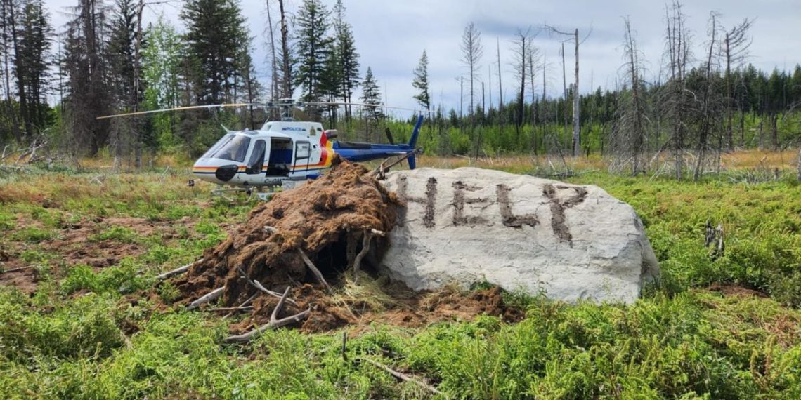 Canada : En panne et perdu, un homme retrouvé vivant après une semaine dans une forêt isolée