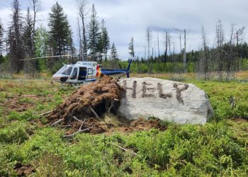 Canada : En panne et perdu, un homme retrouvé vivant après une semaine dans une forêt isolée