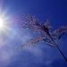 Canicule à Lyon : Un parc ouvert pendant deux nuits pour permettre aux habitants de dormir au frais