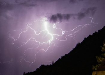Savoie : Un automobiliste tué par la chute d’un arbre pendant un orage