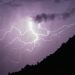 Savoie : Un automobiliste tué par la chute d’un arbre pendant un orage