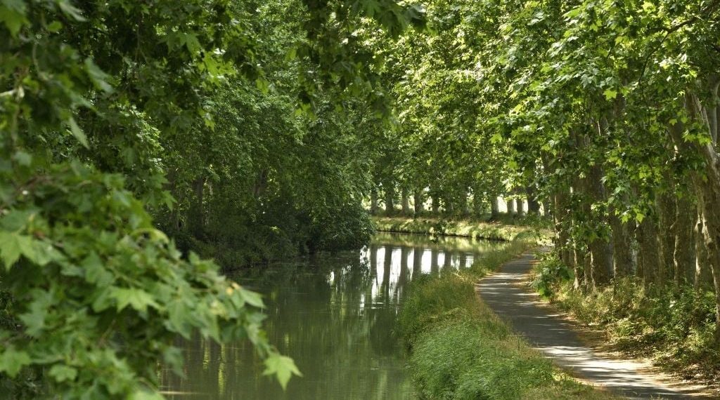 Hérault : Un corps avec des traces de violences découvert dans le canal du Midi