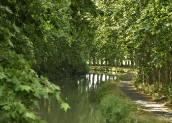 Hérault : Un corps avec des traces de violences découvert dans le canal du Midi