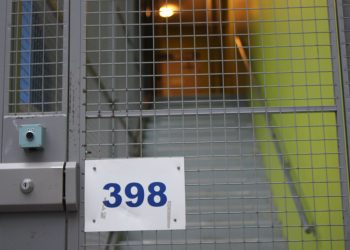 Normandie : Décapitations d’animaux, scarifications, pédopornographie… Un jeune cybercriminel mis en examen et écroué