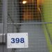 Normandie : Décapitations d’animaux, scarifications, pédopornographie… Un jeune cybercriminel mis en examen et écroué
