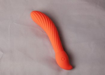 Vienne : Une équipe de déminage intervient dans une mairie pour un colis suspect qui contenait… un sextoy