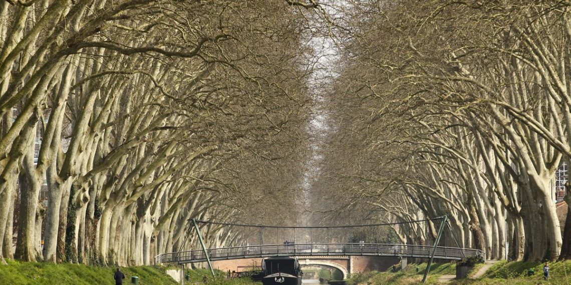 Toulouse : Nouvelle noyade dans le Canal du Midi, un sexagénaire retrouvé mort