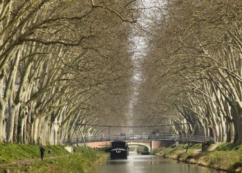 Toulouse : Nouvelle noyade dans le Canal du Midi, un sexagénaire retrouvé mort