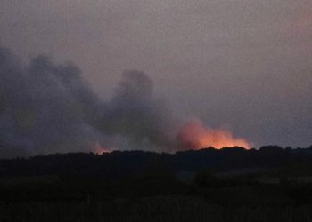 Charente : Plus de 200 hectares de végétation détruits par un incendie toujours en cours
