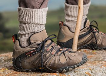 Etats-Unis : En promenant son chien, il découvre les restes d’un pied humain dans une chaussure
