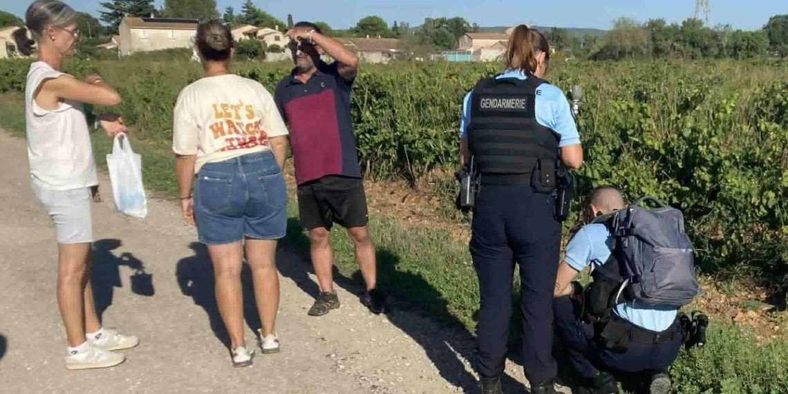 Gard : Trois chiens meurent empoisonnés par des boulettes de viande