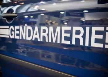 Hautes-Alpes : Un corps démembré découvert par un promeneur (et son chien)
