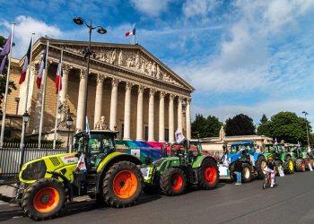 Agriculture, narcotrafic, immigration : les censures à répétition du Conseil constitutionnel