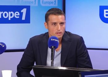 Rétention des étrangers dangereux : «La vraie question, c’est qu’est-ce qu’ils font encore en France ?», s’interroge Aleksandar Nikolic