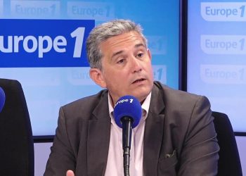 Loi immigration : le Conseil constitutionnel «a une interprétation quelques fois très idéologique»