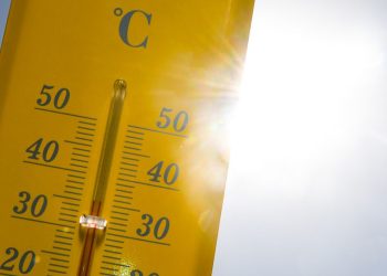 Canicule : 40 à Toulouse, 36 à Paris, une accalmie attendue jeudi… À quoi s’attendre cette semaine ?