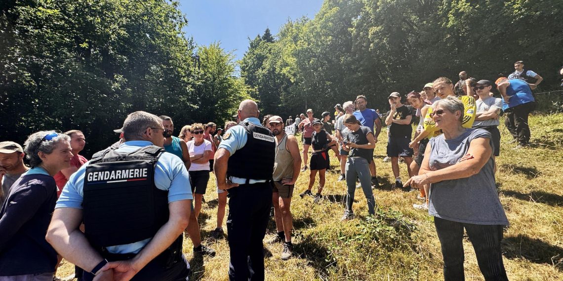 Épidémie de dermatose bovine : les éleveurs refusent de se laisser abattre