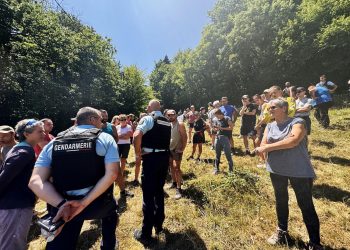 Épidémie de dermatose bovine : les éleveurs refusent de se laisser abattre