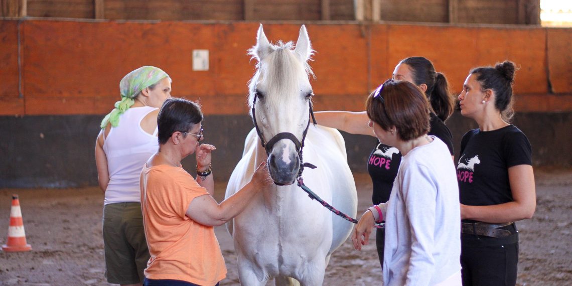 Équithérapie : comment les chevaux aident à surmonter le cancer