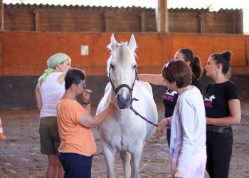 Équithérapie : comment les chevaux aident à surmonter le cancer