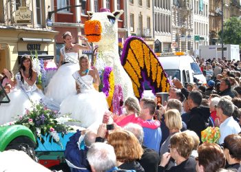 Fête de la mirabelle : Metz revêt sa robe d’or