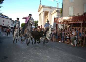 Feria de Saint-Rémy-de-Provence : chevaux et taureaux à l’honneur dans les Alpilles