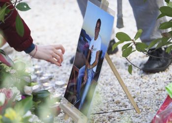 «Un acte antisémite de plus» : un arbre en hommage à Ilan Halimi abattu en Seine-Saint-Denis