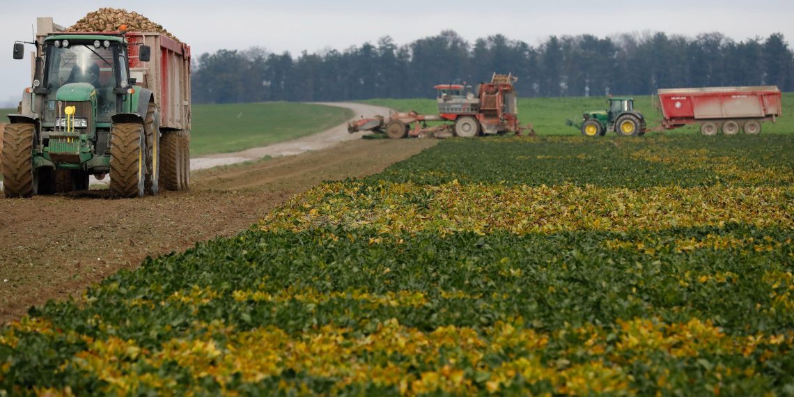 «Préparez-vous au plan social» : le cri du cœur d’un agriculteur après la censure de la loi Duplomb