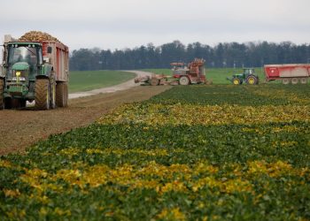 «Préparez-vous au plan social» : le cri du cœur d’un agriculteur après la censure de la loi Duplomb