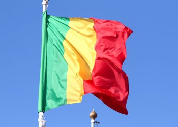 Arrestation d’un Français au Mali : Paris dénonce des «accusations sans fondements» et exige sa libération
