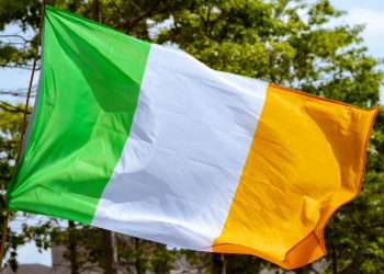 Immigration de masse : «À Dublin, certaines rues ne sont plus reconnaissables»