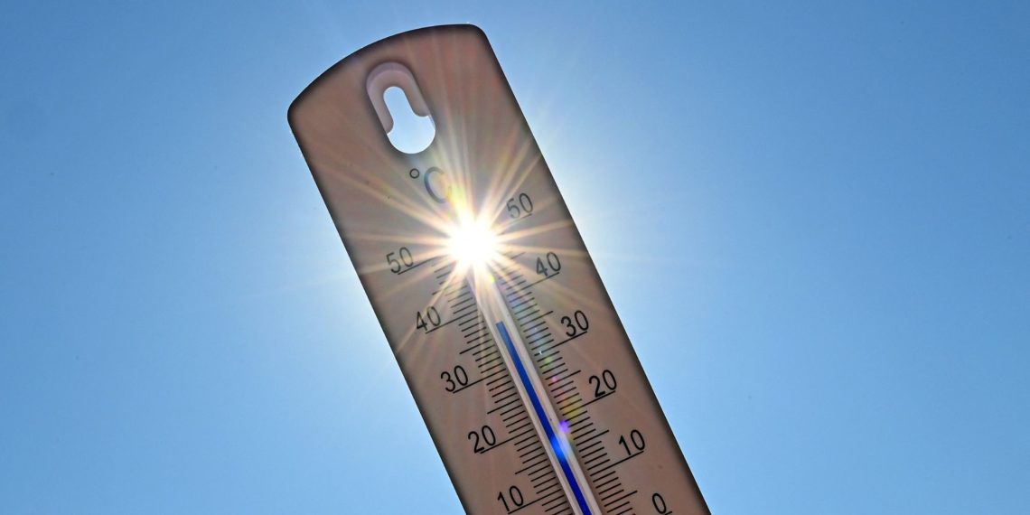 «C’est un peu horrible» : face à la canicule, les Toulousains luttent autant que possible