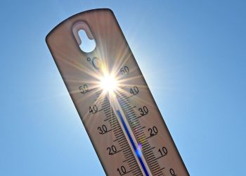 «C’est un peu horrible» : face à la canicule, les Toulousains luttent autant que possible