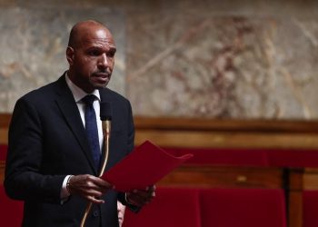 «Fier d’être Africain» : un député français acquiert la nationalité béninoise pour lutter contre le «racisme»