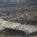 Aude : une rave party sur les terres ravagées par les incendies suscite l’indignation