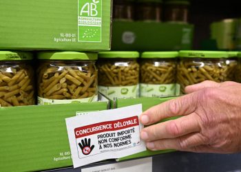 «Pourquoi continuer ?» : dans les Bouches-du-Rhône, les agriculteurs dénoncent la concurrence déloyale venue de l’étranger