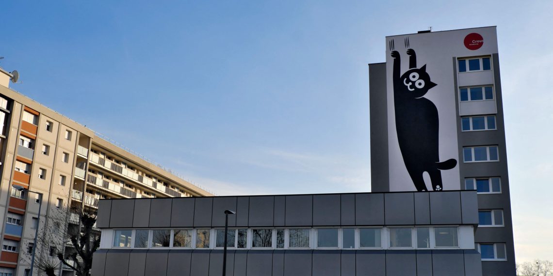 «Il faut s’accrocher» : à Strasbourg, le casse-tête des étudiants pour réussir à se loger