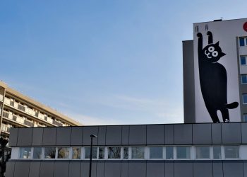 «Il faut s’accrocher» : à Strasbourg, le casse-tête des étudiants pour réussir à se loger