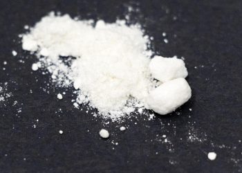 Qu’est-ce que la drogue «Monkey Dust» ?