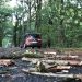 « J’ai eu la trouille »… Tornade, inondations et fortes pluies ont chahuté la Bretagne