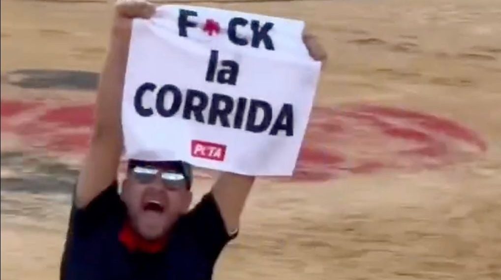 Gard : L’influenceur Jeremstar en garde à vue après une action anti-corrida