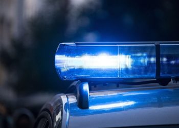 Seine-Saint-Denis : Un crâne humain découvert par un adolescent dans le jardin d’une maison